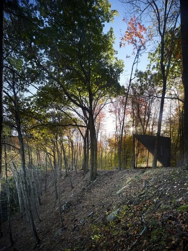 Розташування будинку дозволяє повністю поринути у світ природи та вдихнути всі аромати лісу