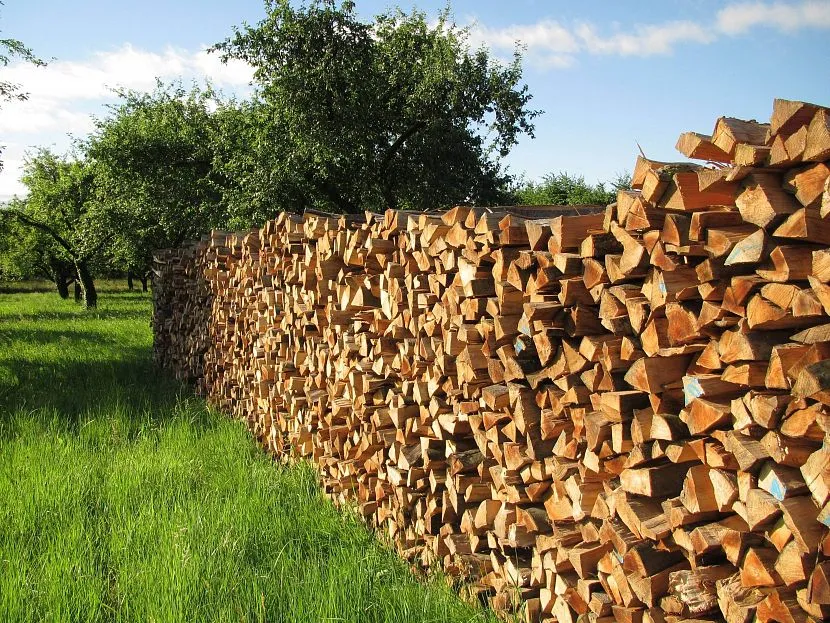 Przygotowanie materiału drzewnego do budowy domu