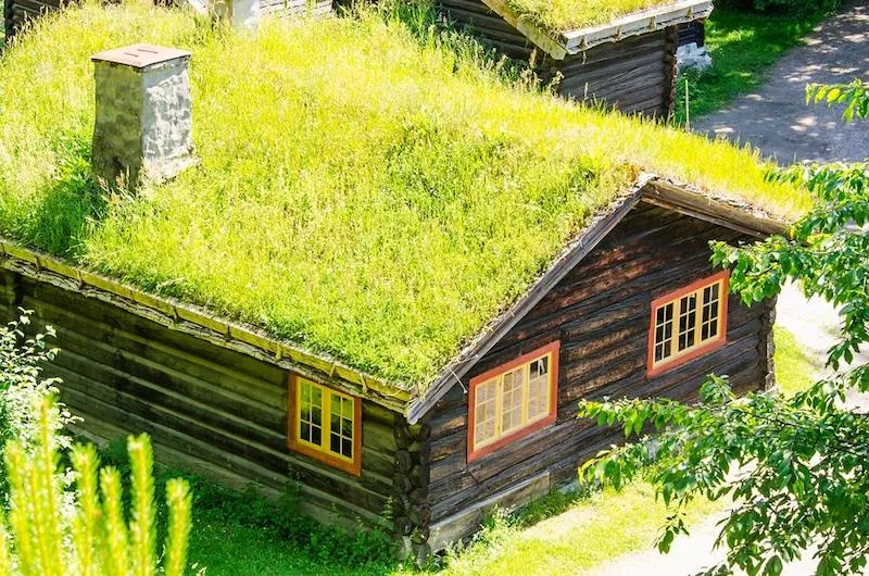 Domek z bali z ekologicznym dachem