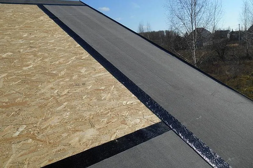 Ochrona części konstrukcji dachu