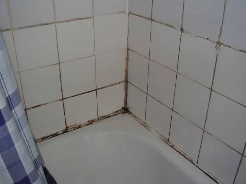 Цвіль на швах та герметика у ванній кімнаті