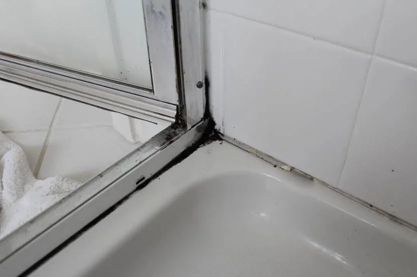 Видалення цвілі на герметиці в душовій кабінці