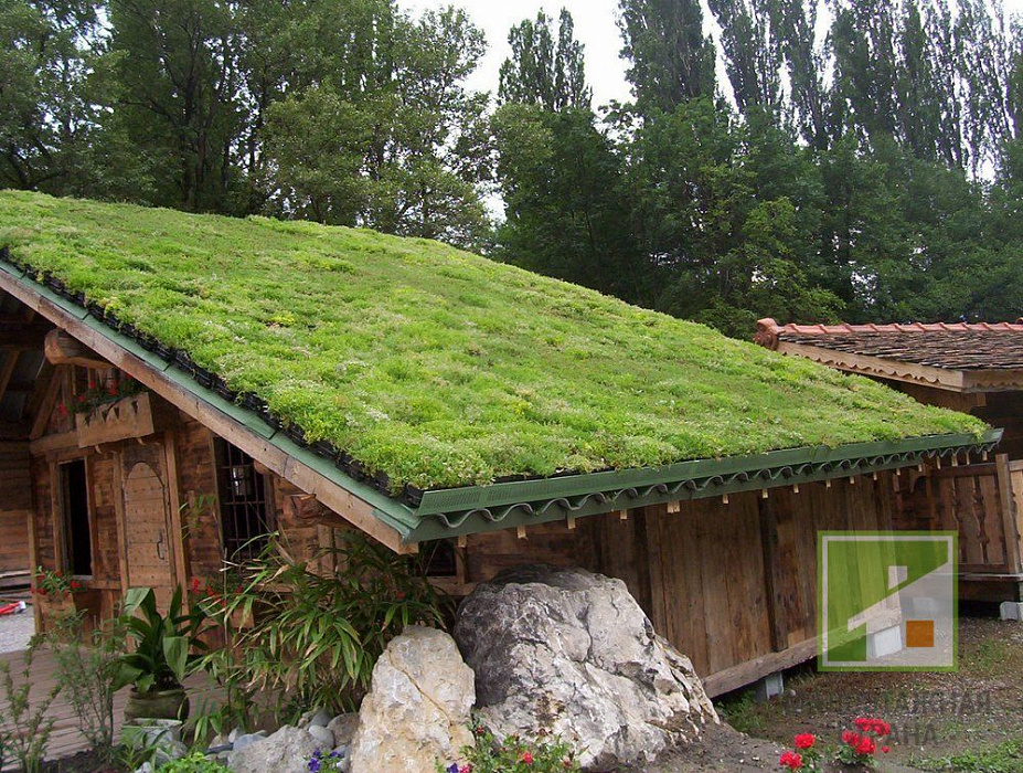 Технологія висадки газону на даху будинку