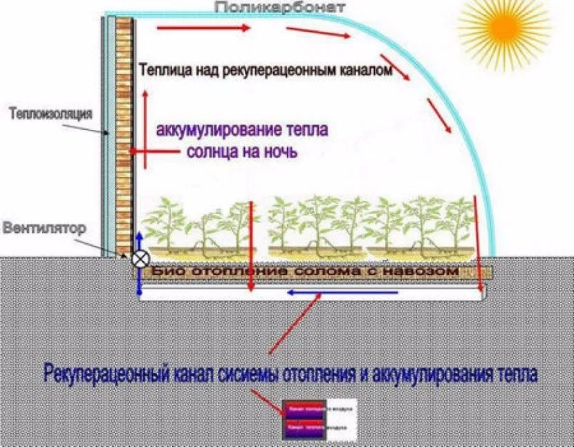 При правильному застосуванні біообігрів теплиці показує відмінні результати