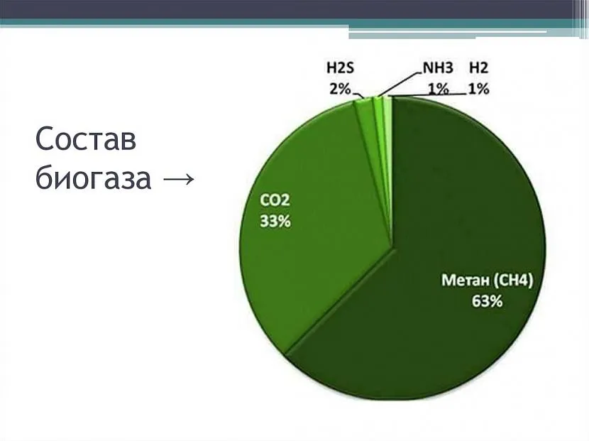 Біогаз утворюється при анаеробному (без повітря) метановому зброджуванні біомаси