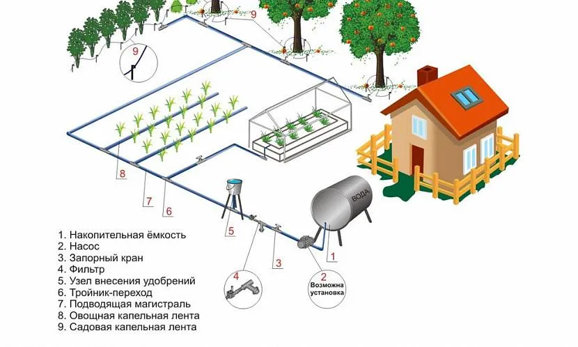 Przybliżony schemat