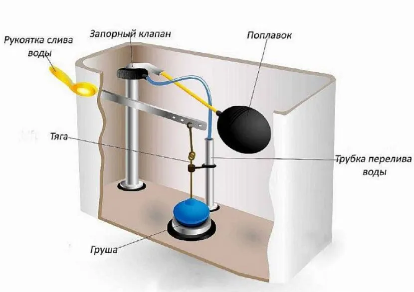 Przekrój cysterny sanitarnej