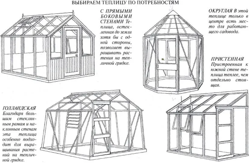 Популярні різновиди тепличних форм