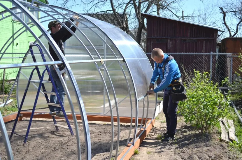 Skoordynowane działania podczas instalacji szklarni