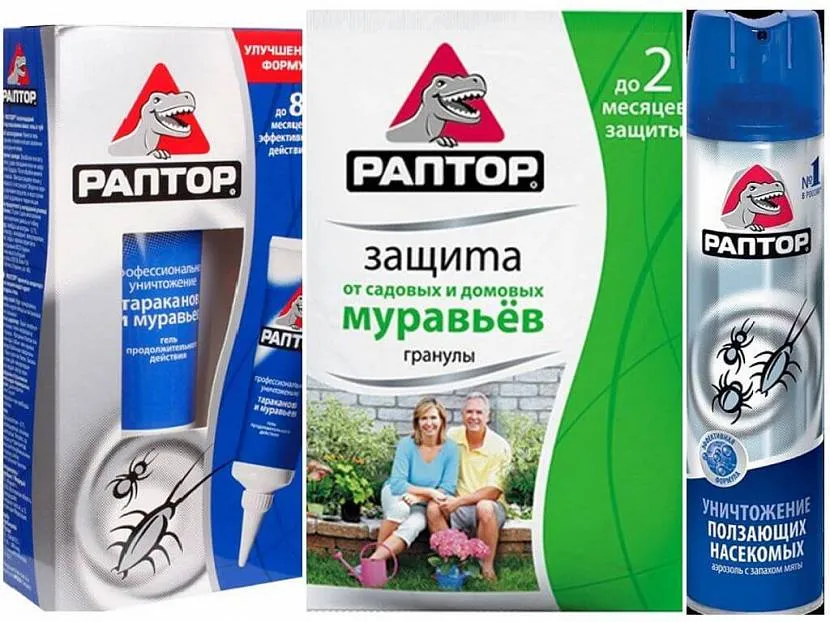 «Раптор» проти мурах