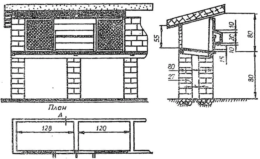 Wymiary królika