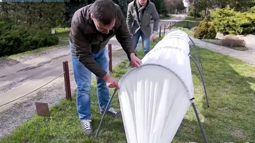 Najprostszym projektem szklarni jest mały łuk pokryty folią lub agrowłóknem