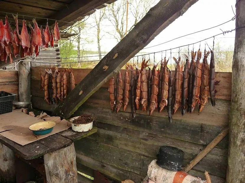 W wyniku procesu wędzenia na zimno gotowe produkty zachowują swoją elastyczną teksturę i nabierają przyjemnego aromatu.