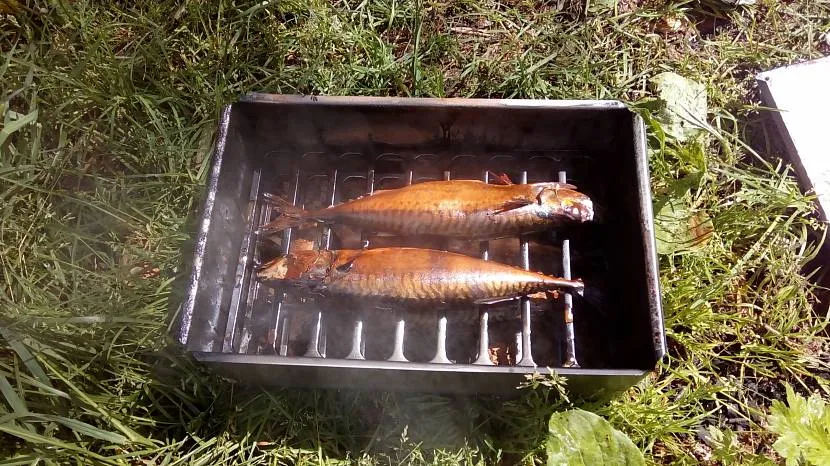 Niewielkie objętości komory wędzarniczej pozwalają na bardzo szybkie uzyskanie gotowego produktu