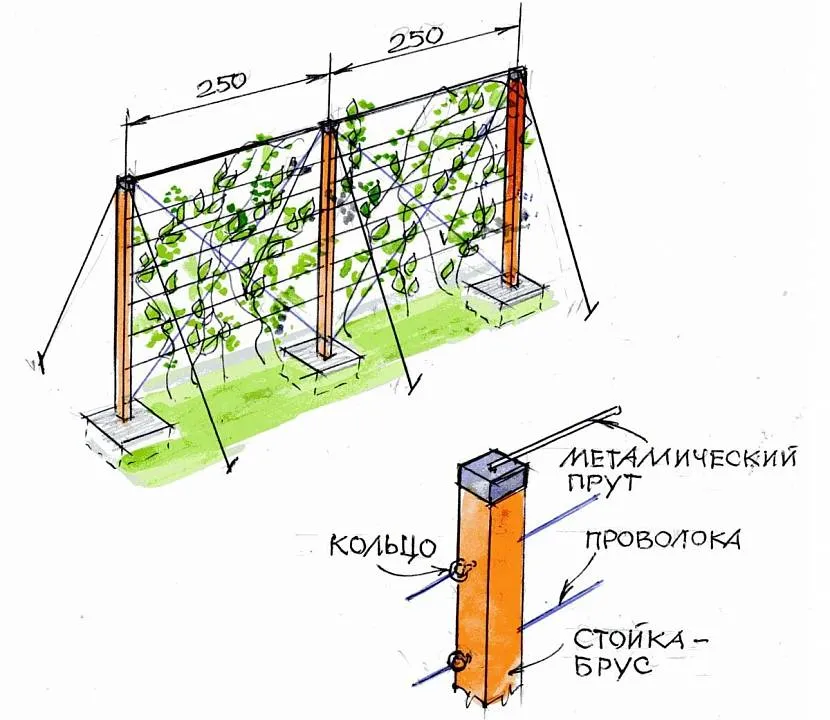 Один з варіантів одноплощинної шпалери