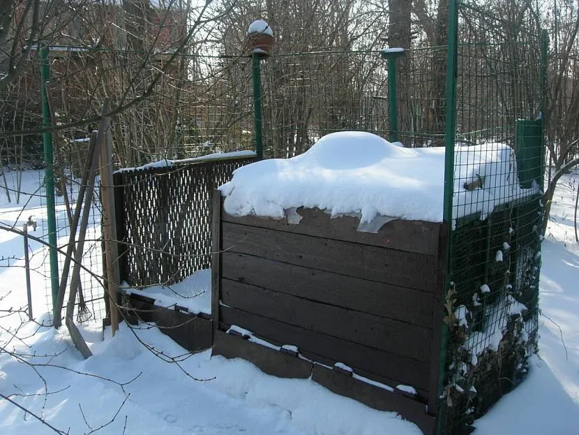 Aktywność drobnoustrojów może trwać nawet zimą