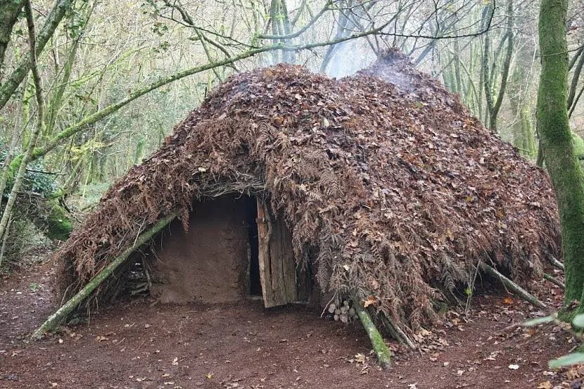 «Капітальний» курінь