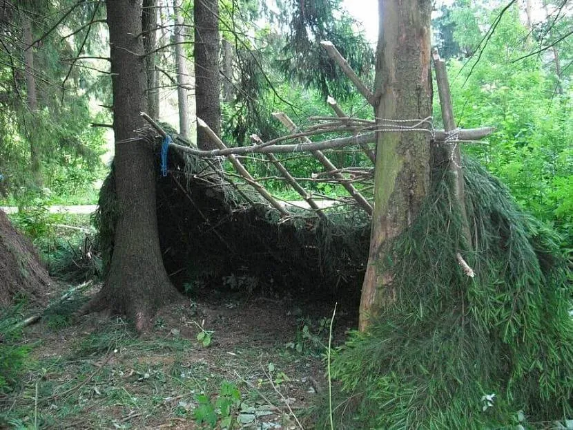 Dach szopy jest starannie uszczelniony gałęziami i trawą.