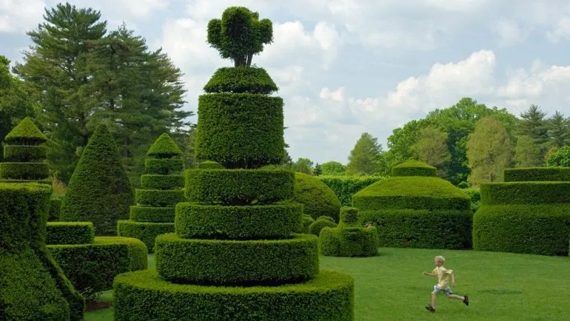 Nowoczesna interpretacja topiary