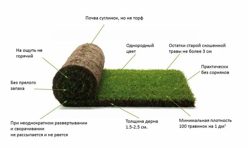 Як правильно вибрати рулонний газон