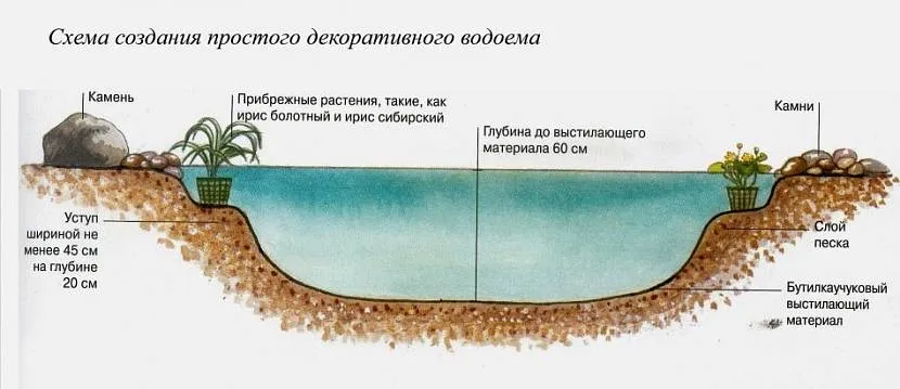 Схема створення ставка