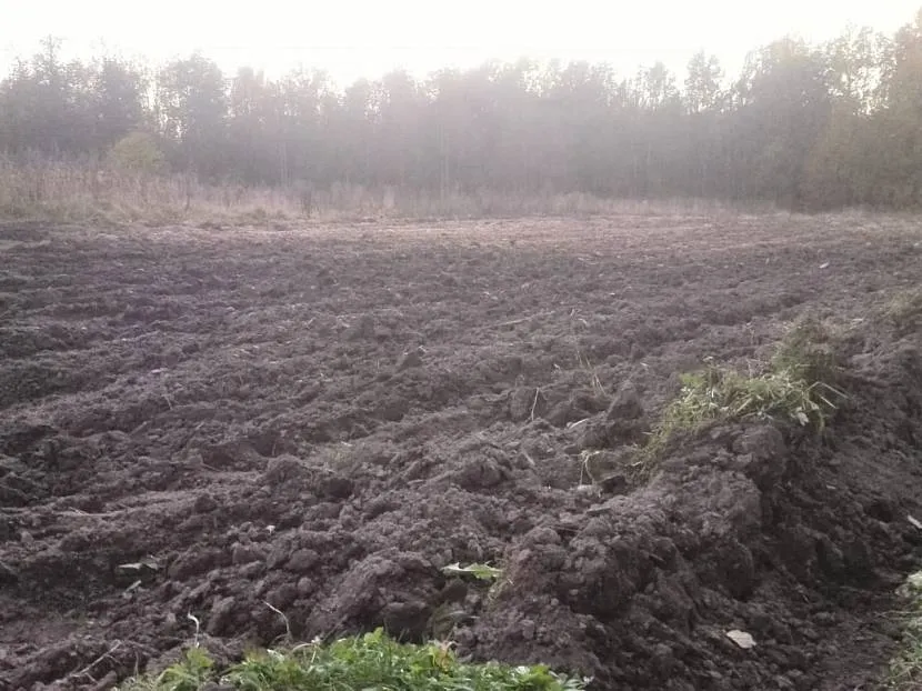 Działka gotowa do sadzenia upraw