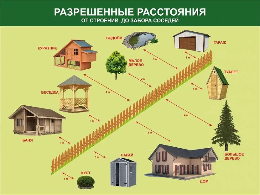 Як правильно розташувати рослину на ділянці по відношенню до паркану