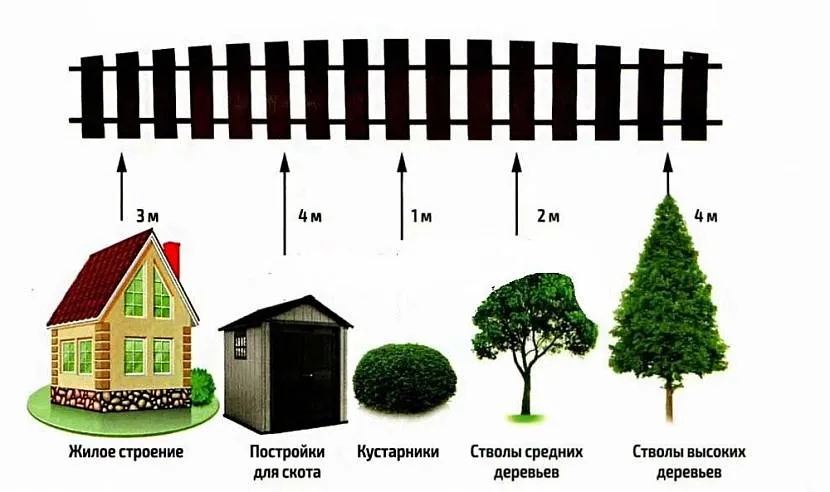 Normy dotyczące umieszczania nasadzeń według SNIP