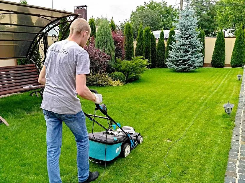 Wiosenne koszenie trawnika odbywa się w maju podczas aktywnego sezonu wegetacyjnego