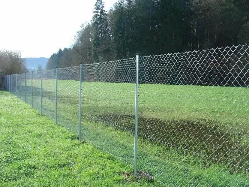 Ogrodzenie z siatki - czołg nie opóźni się, ale oznaczy terytorium