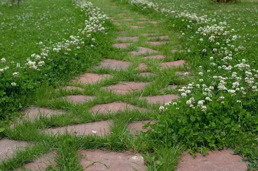 Granicząc ze ścieżką ogrodową