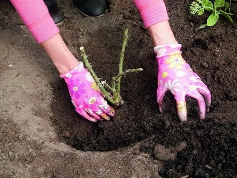 Ziemia w otworze musi być luźna