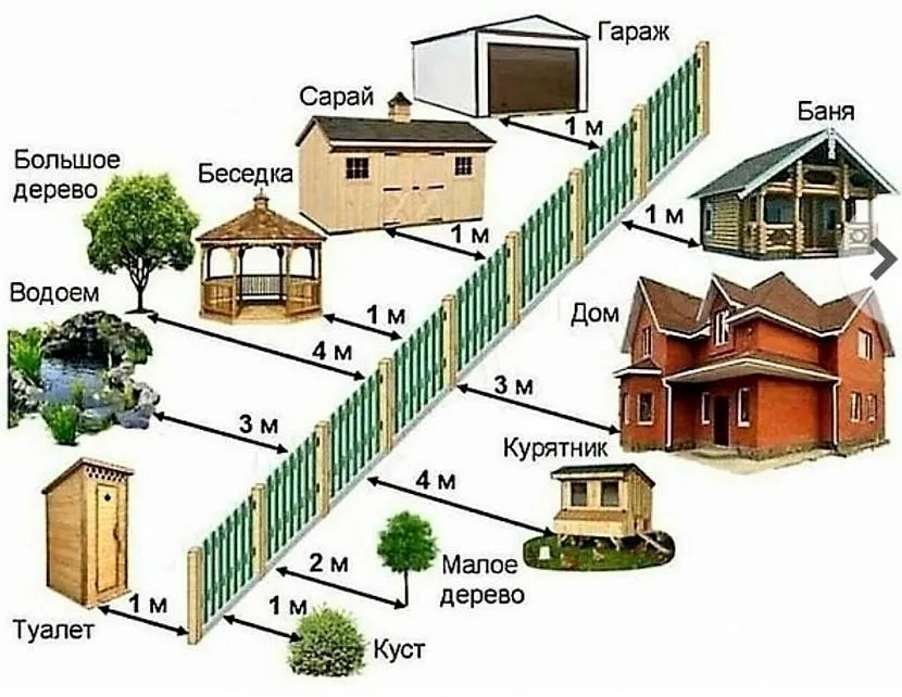 Правильне розташування посадки дерев від паркану