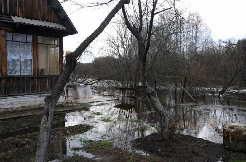 Насос допоможе впоратися із затопленням ділянки