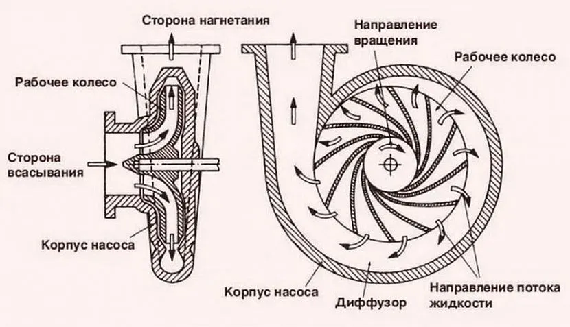 Схема работы вихревого дренажного насоса