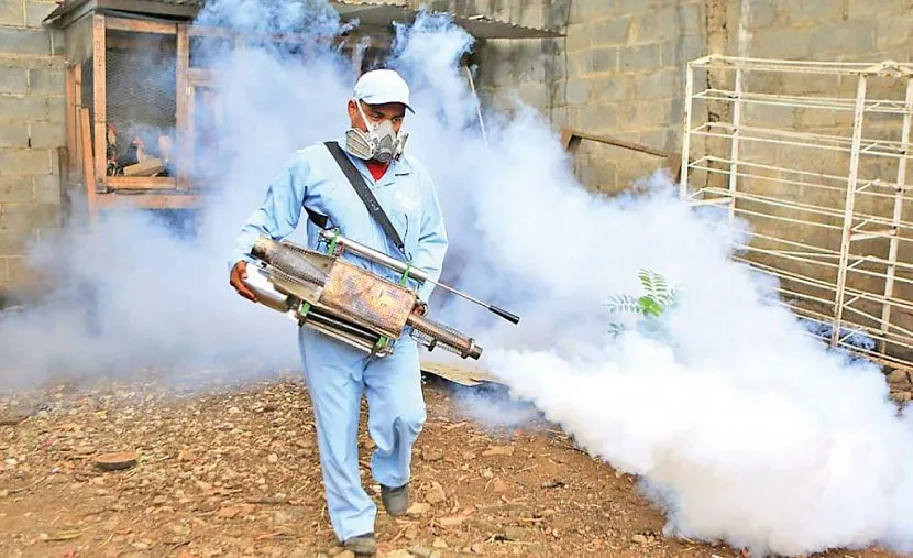 Fumigację lub fumigację stosuje się przy oczyszczaniu pomieszczeń od wewnątrz: na ulicy gaz szybko znika, dlatego nie daje pozytywnego efektu