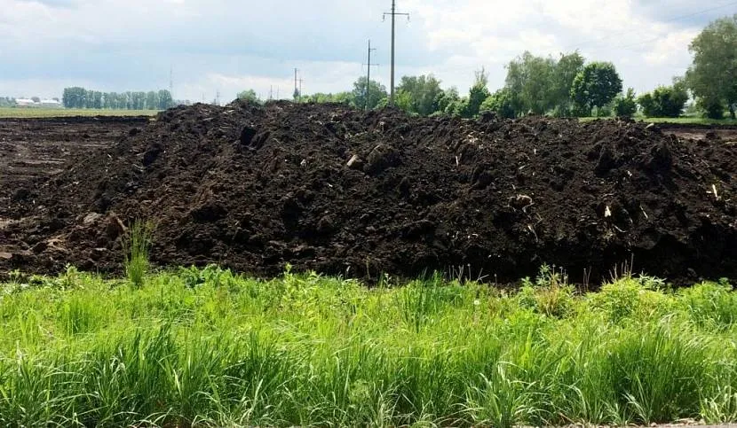 Czasami na drenażu kładzie się niewielką warstwę żyznej gleby