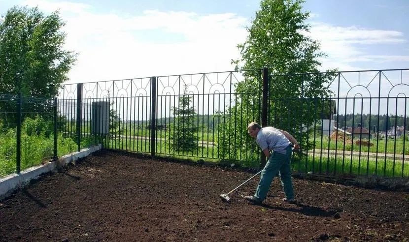 Після граблів утворюються дрібні борозенки, в які і потрапляє насіння.