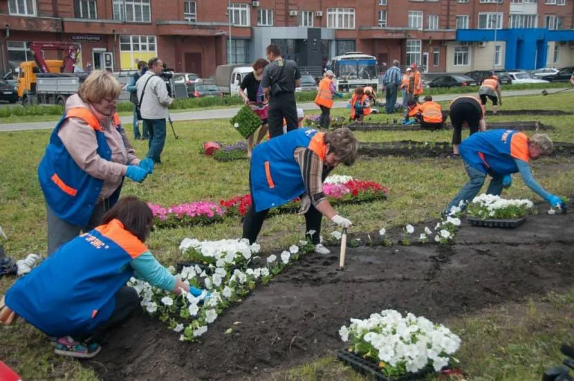 Розмітка та посадка квітучих саджанців