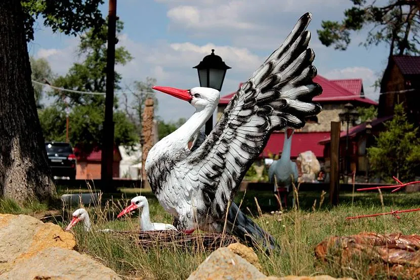 Bociany rozpościerają skrzydła, symbol szczęścia rodzinnego