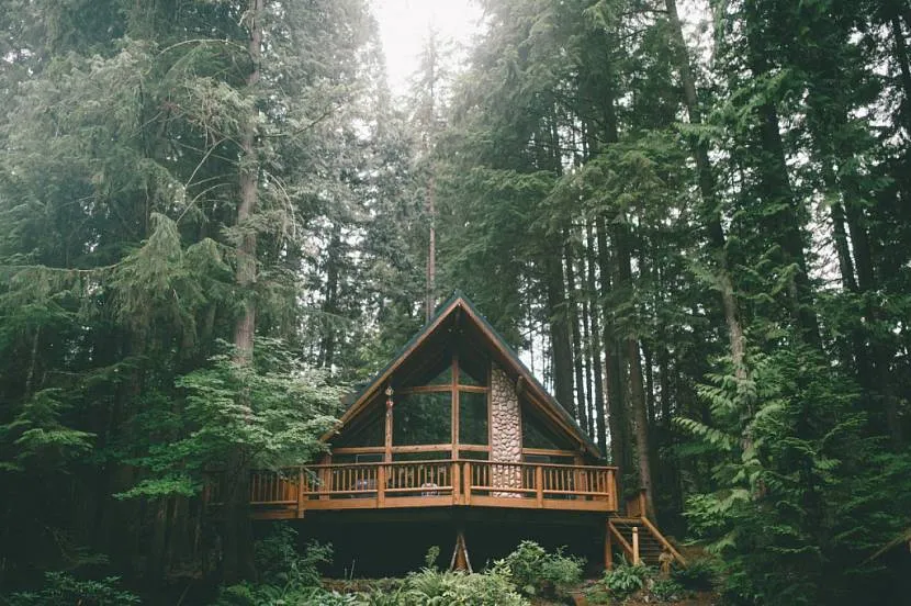 Дом в хвойном лесу