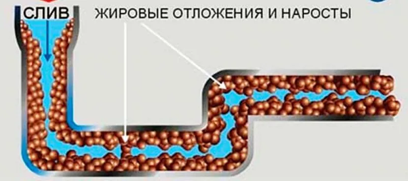 Жирна плівка є відмінним субстратом для розвитку мікроорганізмів та пліснявих грибів