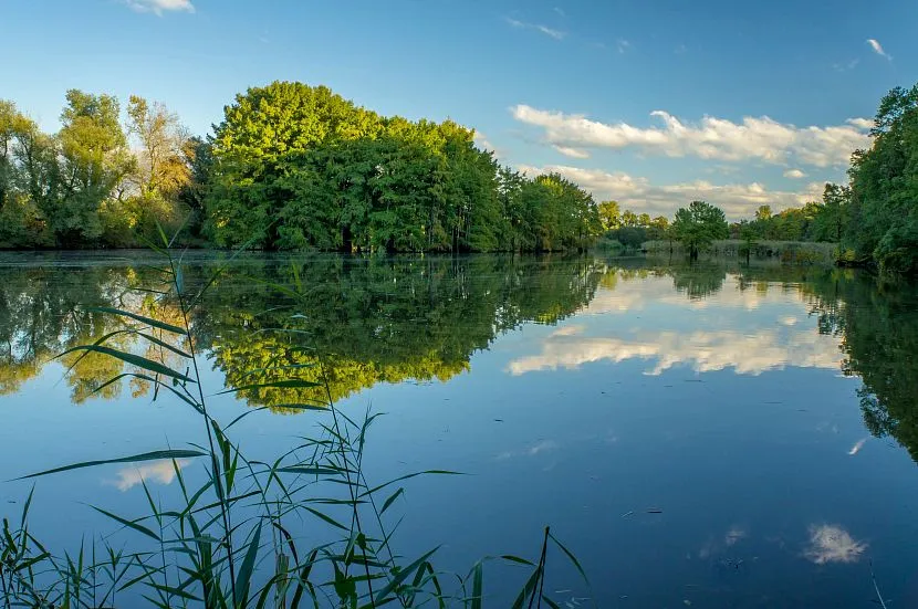 З усіх існуючих видів поверхневих водойм у приватному користуванні можуть бути лише ставки, обводнені кар'єри