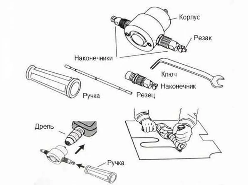 Приблизно так виглядає цвіркун у розібраному вигляді