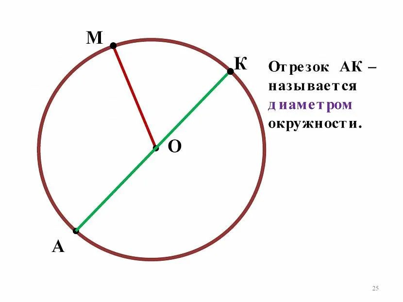 Odcinek AK - średnica okręgu narysowanego na rysunku