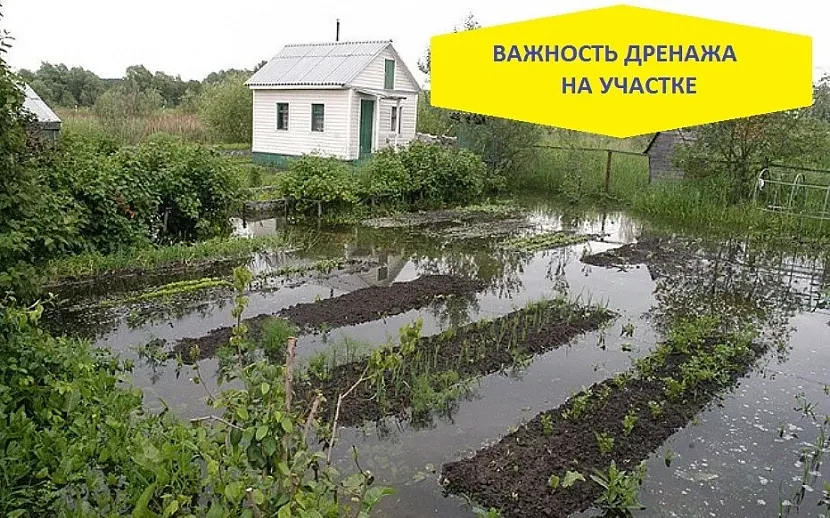 Явні ознаки необхідності водовідведення