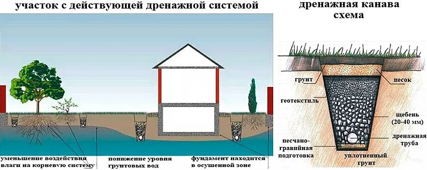 Істотні плюси облаштування дренажної системи