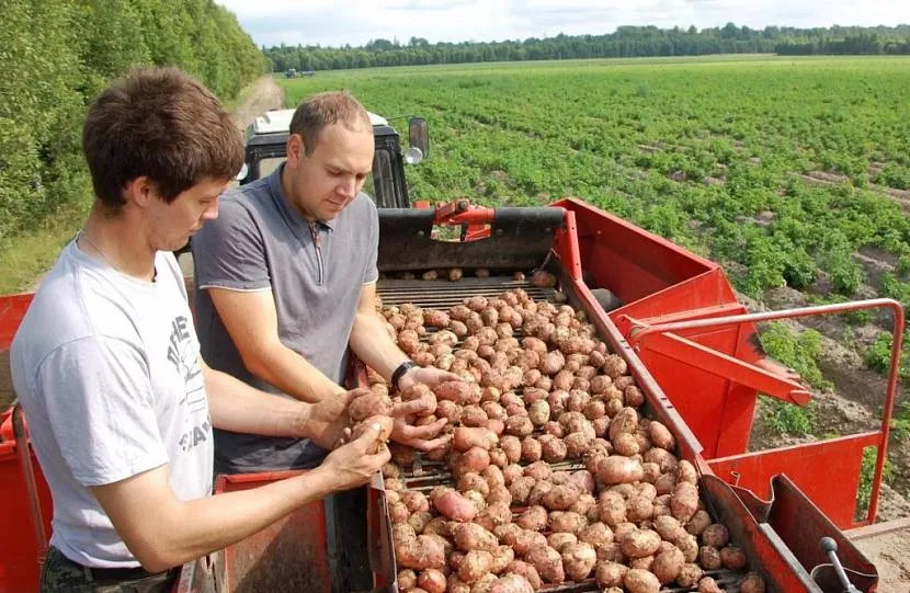 Сільгосппродукцію недостатньо просто виростити