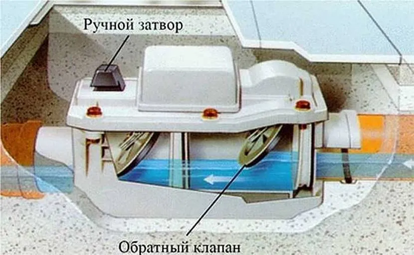 Пластикова модель у розрізі.