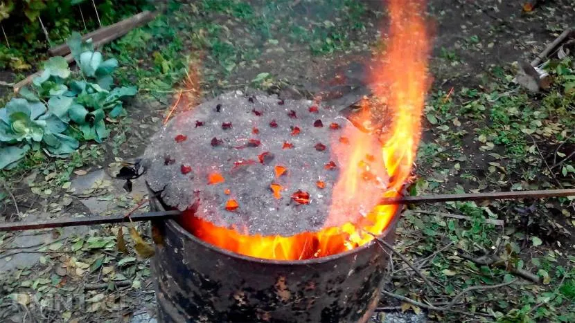 Płonące gałęzie i trawa z terenu w beczce